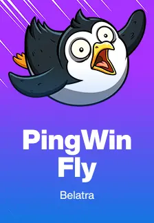 PingWin Fly