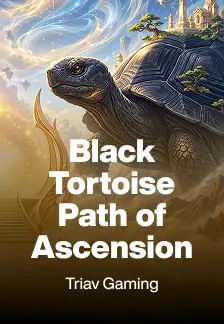 Black Tortoise Path of Ascension