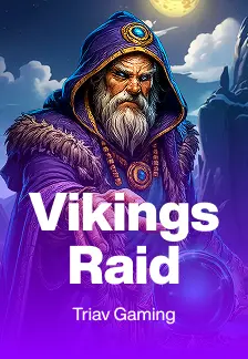 Vikings Raid